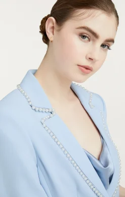 Cinq à Sept Gracey Blazer Skyfall Hot